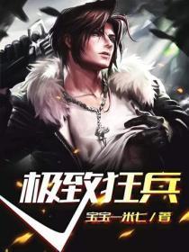 豪婿无弹窗